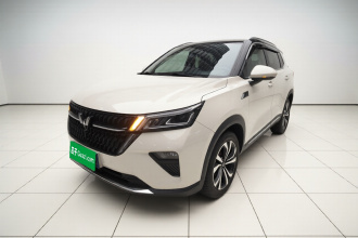 五菱汽车 五菱星辰 2022款 2.0L DHT电速款