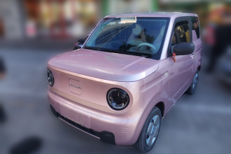 吉利银河 2023款 熊猫mini 200km 耐力熊