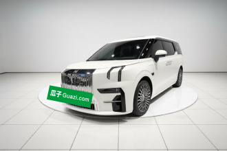 极氪009 2022款 WE版