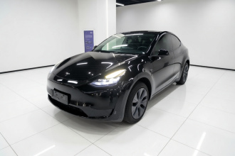 特斯拉 Model Y 2024款 后轮驱动版