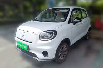 零跑汽车 零跑T03 2024款 310舒享版