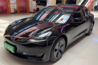 特斯拉 Model 3 2021款 标准续航后驱升级版