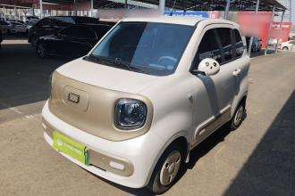 奔腾小马 2025款 222km 闪电马