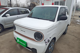 吉利银河 2024款 熊猫mini 200km 耐力熊