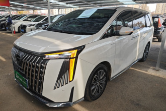 广汽传祺 传祺M8 2024款 大师系列 400T 至尊版