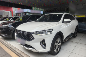 哈弗F7x 2019款 1.5T 两驱极智潮玩版