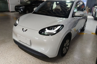 五菱汽车 五菱缤果 2024款 333km 悦享款