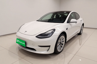 特斯拉 Model 3 2020款 改款 标准续航后驱升级版