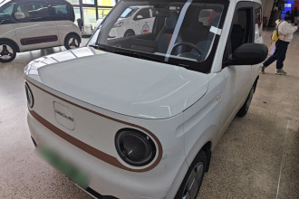 吉利银河 2024款 熊猫mini 200km 耐力熊