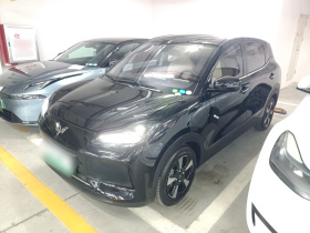 五菱汽车 五菱缤果PLUS 2024款 401km 旗舰版 四座版