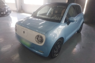 欧拉黑猫 2021款 301km 基础型