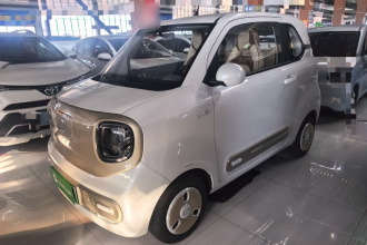 奔腾小马 2024款 170km 活力马