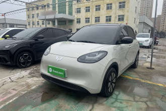 五菱汽车 五菱缤果 2024款 333km 悦享款