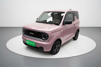 吉利银河 2024款 熊猫mini 200km 耐力熊