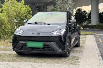 比亚迪 海鸥 2023款 飞翔版