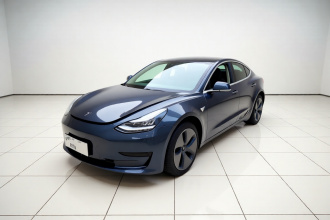 特斯拉 Model 3 2020款 标准续航后驱升级版