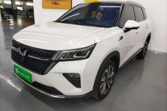 五菱汽车 五菱星辰 2022款 2.0L DHT电速款