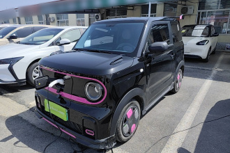 吉利银河 2025款 210km 熊猫骑士