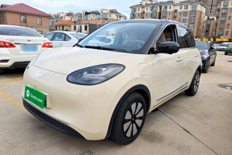 五菱汽车 五菱缤果 2025款 333km 灵犀尊享款