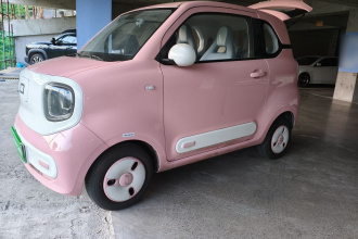 奔腾小马 2024款 170km 活力马