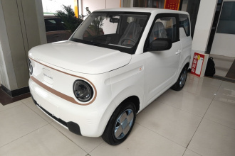 吉利银河 2024款 熊猫mini 200km 耐力熊