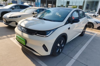 比亚迪 海豚 2025款 智驾版 410km 时尚版