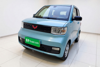 五菱汽车 宏光MINIEV 2020款 自在款 磷酸铁锂