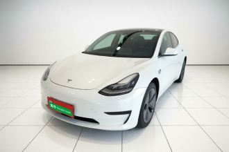 特斯拉 Model 3(进口) 2019款 标准续航后驱升级版