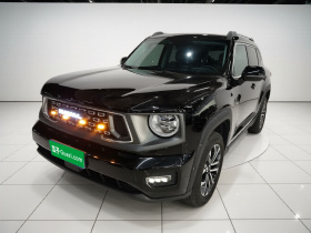 哈弗大狗 PLUS 2023款 2.0T 两驱潮野版Plus