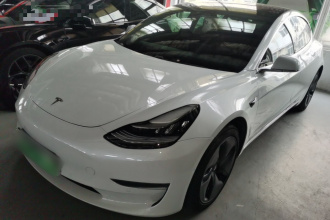 特斯拉 Model 3(进口) 2019款 长续航后驱版