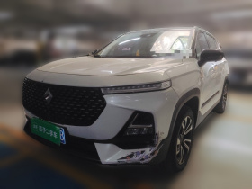 宝骏RS-5 2019款 1.5T CVT智能驾控旗舰版 国VI