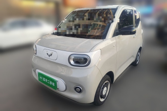 五菱汽车 宏光MINIEV 2024款 第三代 215km 青春版