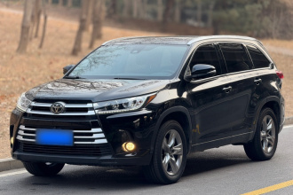 丰田 汉兰达 2021款 2.0T 四驱豪华版 7座