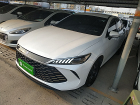 比亚迪 秦PLUS 2025款 DM-i 智驾版 55KM领先型