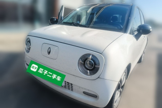 欧拉黑猫 2022款 351km 舒适型 三元锂