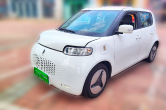 欧拉白猫 2020款 360km 豪华型
