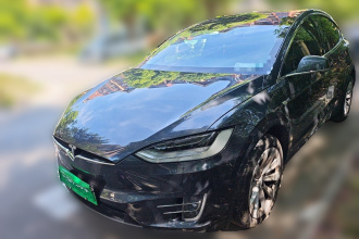 特斯拉 Model X 2019款 长续航版