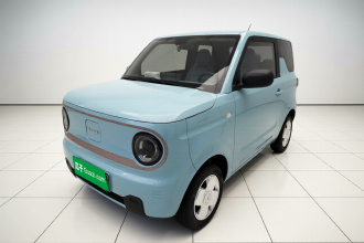 吉利银河 2024款 熊猫mini 200km 耐力熊