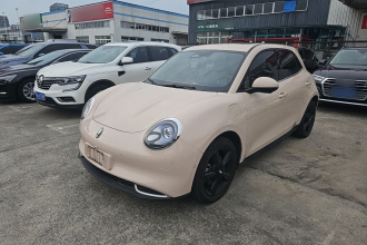 欧拉好猫 2024款 401km 尊荣型 126kW