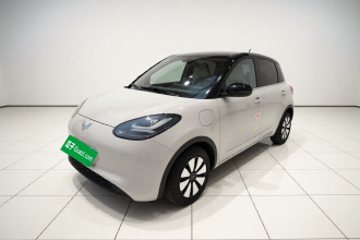 五菱汽车 五菱缤果 2024款 333km 悦享款