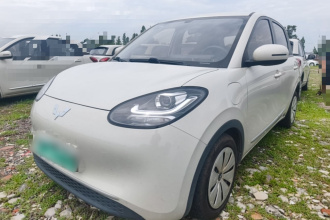 五菱汽车 五菱缤果 2023款 333km 快享款