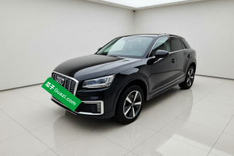 奥迪Q2L e-tron 2019款 Q2L e-tron 纯电智享型