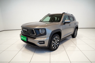哈弗大狗 PLUS 2023款 2.0T 两驱潮野版Plus
