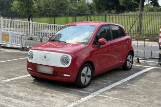 欧拉黑猫 2022款 301km 萌动型 磷酸铁锂