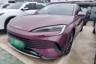 比亚迪 海豹 2024款 荣耀版 DM-i 1.5T 121km 尊荣型