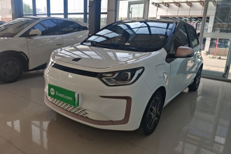 思皓 2022款 花仙子款 四叶草