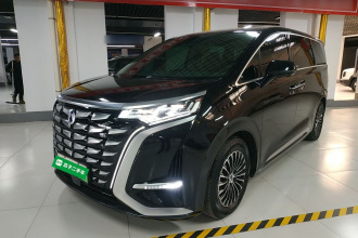 腾势D9 2022款 DM-i 1040 尊贵型