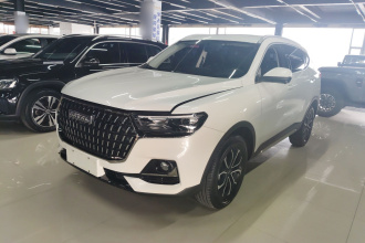 哈弗H6 2023款 国潮版 1.5T 自动都市版