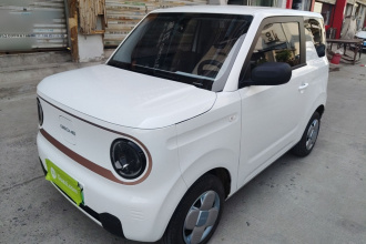 吉利银河 2024款 熊猫mini 200km 耐力熊