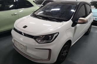 思皓 花仙子 2021款 302km 时尚型 31.4kWh